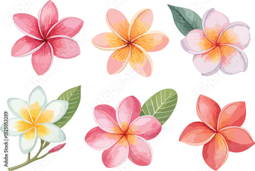 water colour flower isolated on white background
