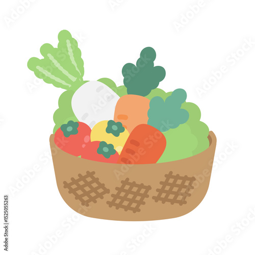 収穫した野菜　イラスト