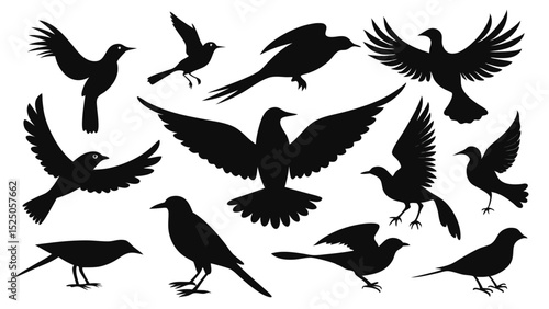 Diverse Bird Silhouettes Flying, Perched, and WingSpreading Black Art Design Elements