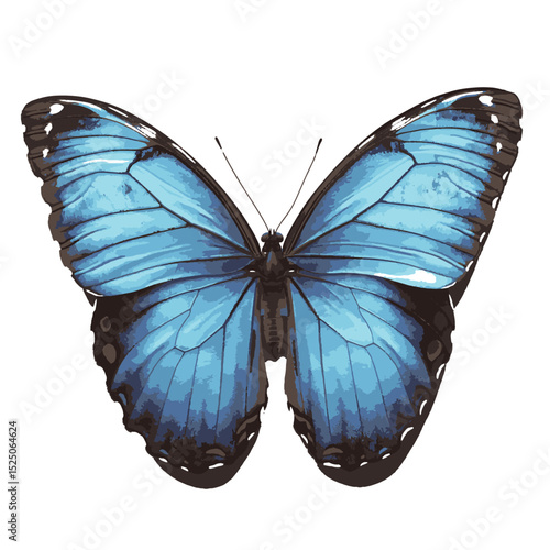 design786_Blue_Morpho_Butterfly_white_background_photorealistic_2c6b0637-1be4-49ac-a2ce-5dd7968fee6f_traced
