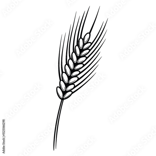 Single Wheat Ear Black and White Illustration