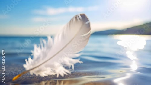 Single white feather resting gently on a rock in crystal clear, shallow ocean water with blurred coastline in the distance.