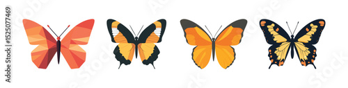 Vibrant Butterfly Collection Orange Yellow Black Winged Insects Nature Photography
