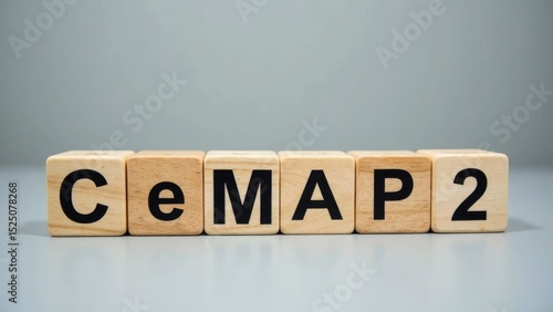 Wooden Sign CeMAP 2