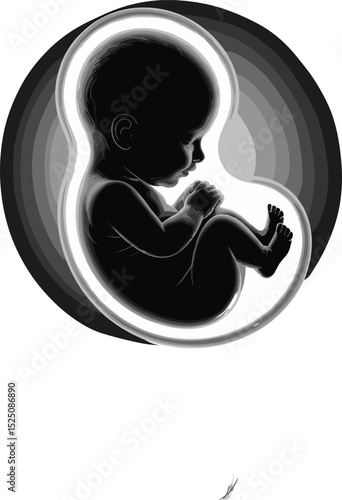 Vector illustration of baby fetus in womb, prenatal development, realistic black silhouette, unborn child inside mother, medical pregnancy concept design