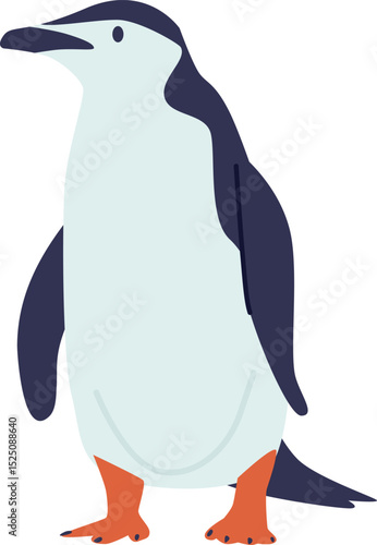 Polar penguin wild animal vector illustration