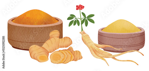 Tumeric Powder and Ginseng Powder for Traditional Food and Medicine 