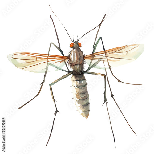 My Watercolor illustration, illustration mosquito painting isolated on a white background, illustration, AI painting design, vector illustration set, eps format