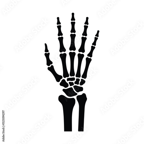 Black Silhouette of Human Hand Skeleton Anatomy