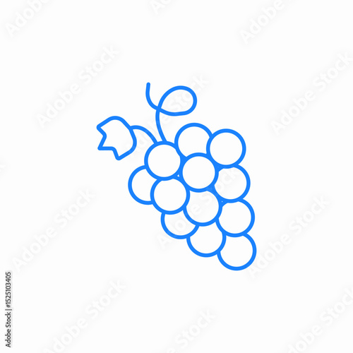 grape cluster icon sign vector