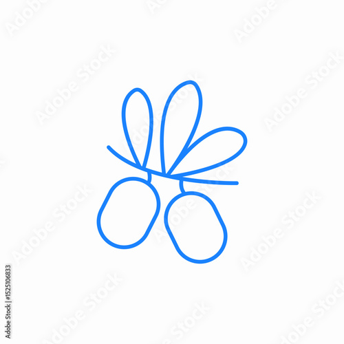 olive branch icon sign vector