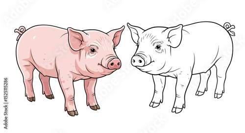 Asian Pig Coloring Sheet Featuring Full Color and Clean Line Art Piglet for Childrens Learning