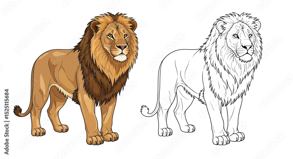 Obraz premium Asiatic Lion Coloring Page with Full Color and Detailed Outline Illustrations for Kids