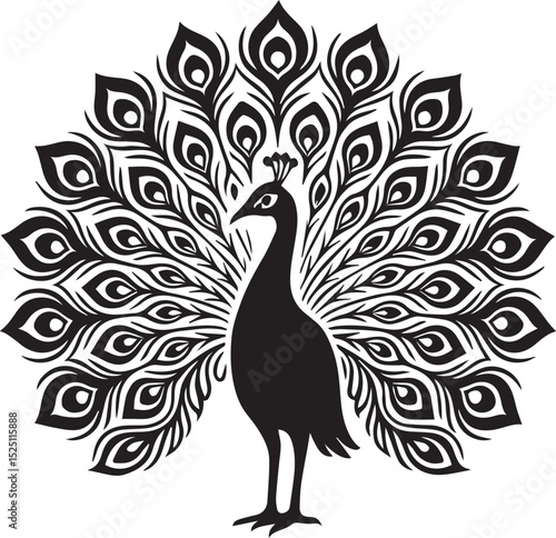Elegant black and white peacock vector illustration with detailed and decorative tail feathers