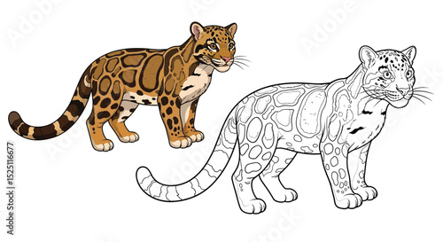 Clouded Leopard Coloring Sheet Featuring Full Color and Clean Line Art for Kids Education