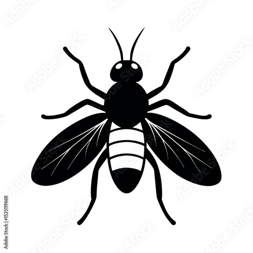 Blister Beetle Insect Silhouette Vector Illustration