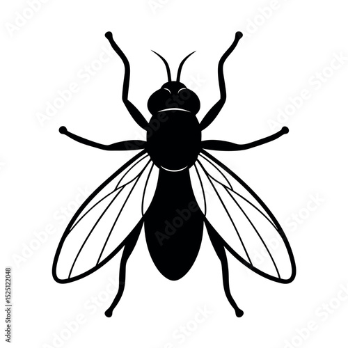 Gypsy Moth Insect Silhouette Vector Illustration
