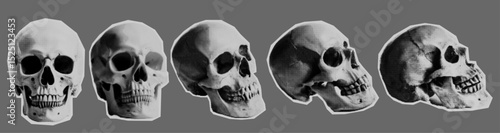 Skull different viewing angles. High quality vector halftone effect. Based on AI generated image 