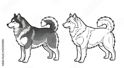 Alaskan Malamute Coloring Page Featuring Detailed Full Color and Clean Outline Version