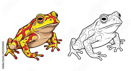 Crucifix Toad Coloring Page Featuring Detailed Realistic Color and Crisp Outline Art