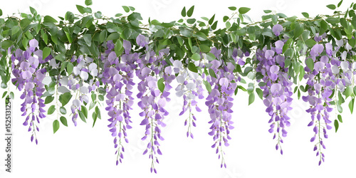 hanging garland wisteria flower cutout png isolated on white or transparent background