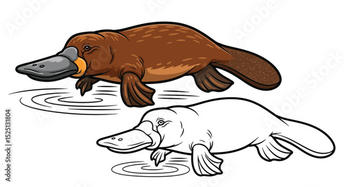 Platypus Coloring Page Featuring Detailed Realistic Color and Crisp Outline Art Design