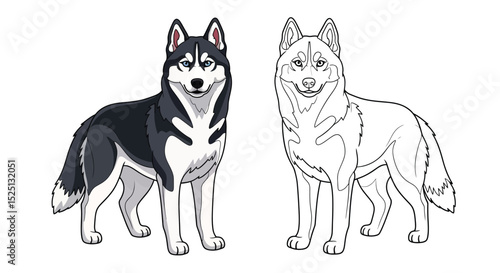 Siberian Husky Coloring Page Featuring Detailed Full Color and Crisp Outline Art