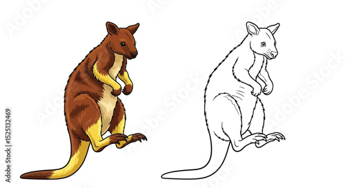 Tree Kangaroo Coloring Page Featuring Detailed Full Color and Clean Outline Art Play