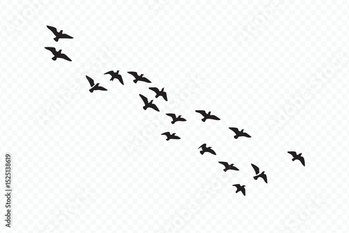 Group of birds flying across sky in black and white Vector