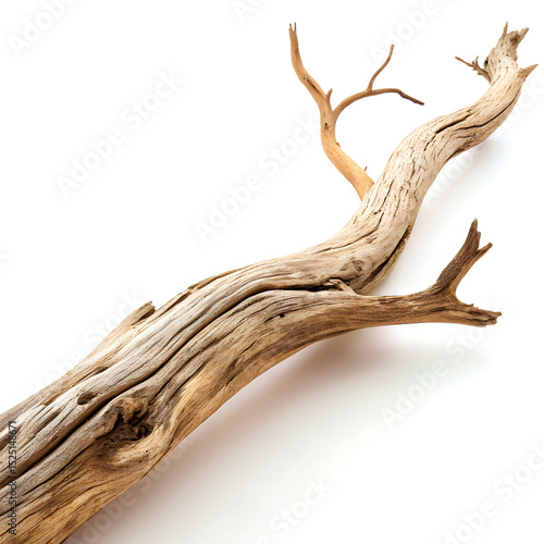 Weathered driftwood branch with smooth texture on white, neutral tones for design projects.