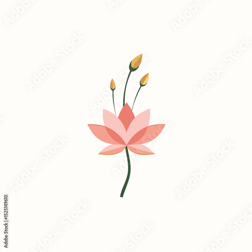 Pink lotus flower with buds on a simple background  