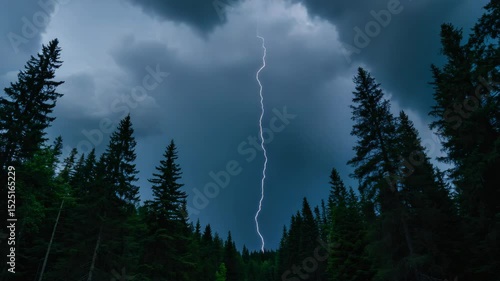 A desolate forest amid a tumultuous storm with heavy rain, lightning, and dramatic thunderheads.