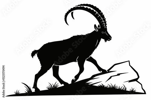 ibex sihouette black vector