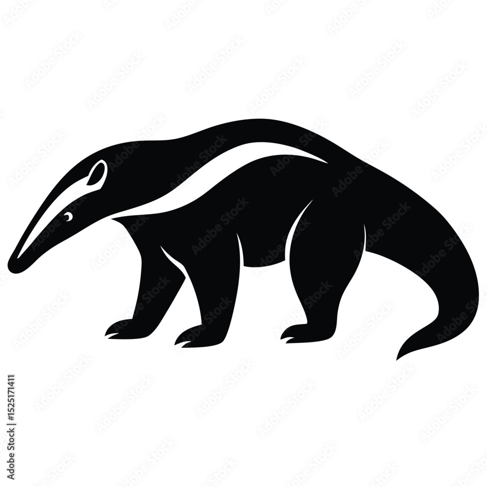 Fototapeta premium anteater vector