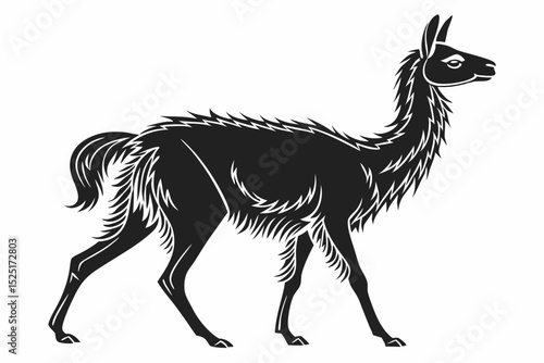 vicuna sihouette black vector