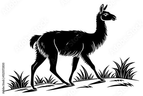 vicuna sihouette black vector