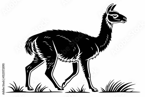 vicuna sihouette black vector