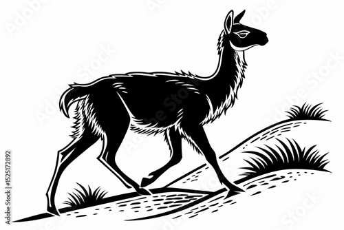 vicuna sihouette black vector