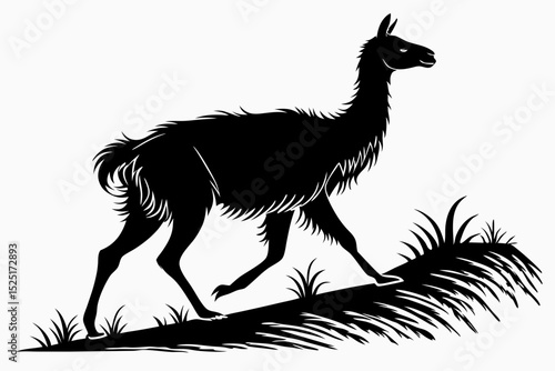 vicuna sihouette black vector