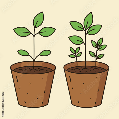Two young plants in brown pots. Seedlings growing in biodegradable containers.  Healthy plants represent growth and spring.