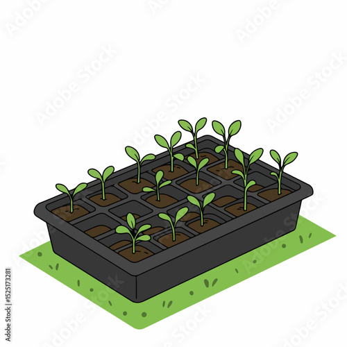 Seedlings in a plastic tray for gardening. Young sprouts in individual cells growing in fertile soil.  New life emerging in spring.