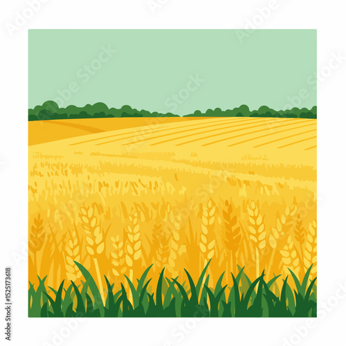 Golden wheat field landscape, summer harvest season, ripe grain stalks and green grass, idyllic rural scenery.  Agricultural landscape with rich soil and abundant crops.