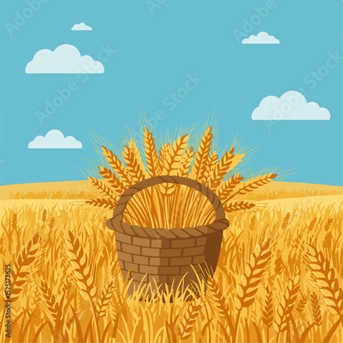 Golden wheat stalks in wicker basket on harvested field.  Full basket of ripe wheat ears in summer landscape.  Abundant harvest of golden grain for gardening publications.