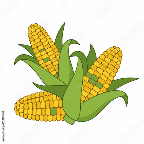 Sweet corn cobs with green leaves. Fresh corn ears illustration with yellow kernels and vibrant green leaves.  Detailed corn image perfect for harvest festival promotions.