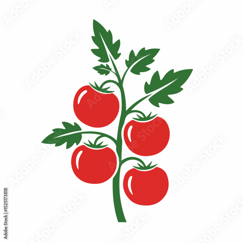 Fresh tomatoes growing on plant branch. Ripe red tomatoes on green stem with leaves.  Illustrative image of tomatoes perfect for gardening websites or farm brochures.