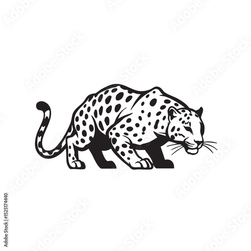 Majestic Leopard A Powerful Black and White Illustration of a Stalking Big Cat