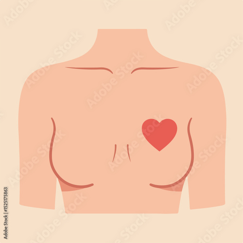 Female torso illustration with heart symbol on chest. Simple anatomy drawing showing female breast and heart.
