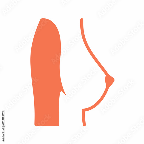 Female breast anatomy illustration showing side and front views. Detailed medical image depicts female mammary gland structure.