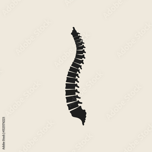Human spine anatomy illustration. Detailed spinal column graphic showing vertebrae. Medical image of backbone for educational purposes, posters, or medical publications.