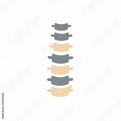 Human spine anatomy illustration. Detailed depiction of vertebrae, intervertebral discs, and spinal column structure.  Medical illustration perfect for educational materials, healthcare websites,